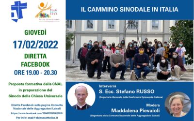 Incontro online per la  Consulta Nazionale delle Aggregazioni Laicali  in preparazione del Sinodo